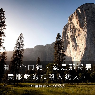 Picture 03 - 约 翰 福 音 12:4 CUVS - 有 一 个 门 徒 ， 就 是 那 将 要 卖 - Bible Verse Picture