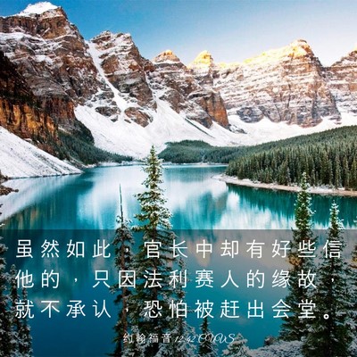 Picture 03 - 约 翰 福 音 12:42 CUVS - 虽 然 如 此 ， 官 长 中 却 有 好 些 - Bible Verse Picture