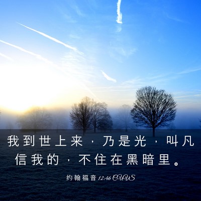 Picture 03 - 约 翰 福 音 12:46 CUVS - 我 到 世 上 来 ， 乃 是 光 ， 叫 凡 - Bible Verse Picture