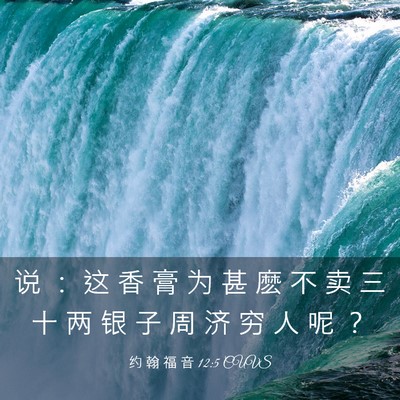 Picture 03 - 约 翰 福 音 12:5 CUVS - 说 ： 这 香 膏 为 甚 麽 不 卖 三 十 - Bible Verse Picture