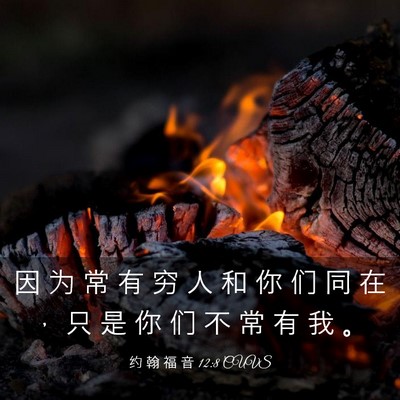 Picture 03 - 约 翰 福 音 12:8 CUVS - 因 为 常 有 穷 人 和 你 们 同 在 ， - Bible Verse Picture