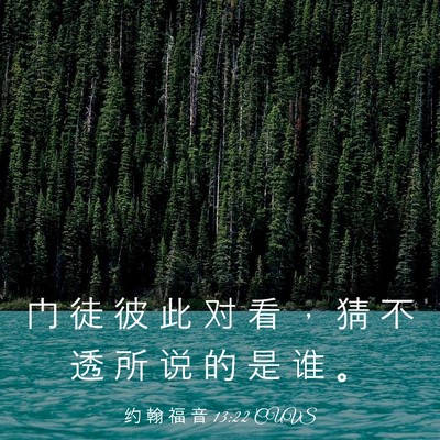 Picture 03 - 约 翰 福 音 13:22 CUVS - 门 徒 彼 此 对 看 ， 猜 不 透 所 说 - Bible Verse Picture
