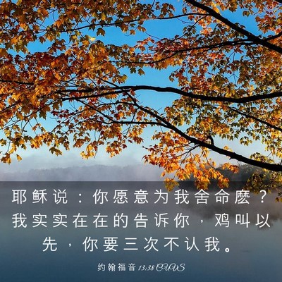 Picture 03 - 约 翰 福 音 13:38 CUVS - 耶 稣 说 ： 你 愿 意 为 我 舍 命 麽 - Bible Verse Picture