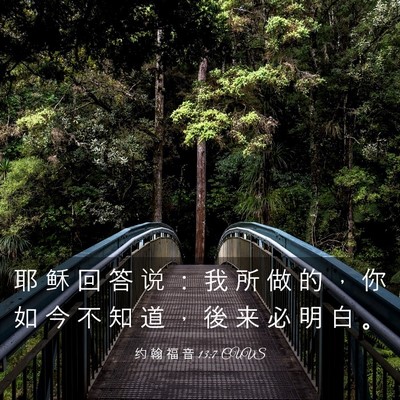 Picture 03 - 约 翰 福 音 13:7 CUVS - 耶 稣 回 答 说 ： 我 所 做 的 ， 你 - Bible Verse Picture