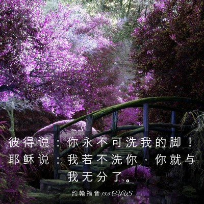 Picture 03 - 约 翰 福 音 13:8 CUVS - 彼 得 说 ： 你 永 不 可 洗 我 的 脚 - Bible Verse Picture