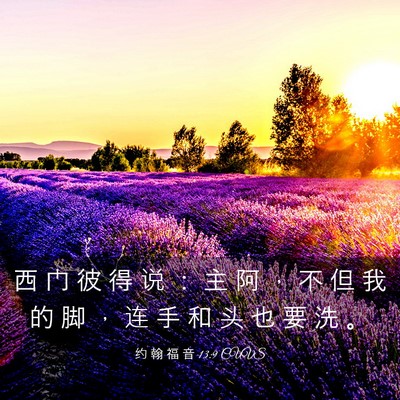 Picture 03 - 约 翰 福 音 13:9 CUVS - 西 门 彼 得 说 ： 主 阿 ， 不 但 我 - Bible Verse Picture