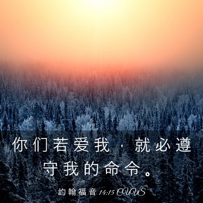 Picture 03 - 约 翰 福 音 14:15 CUVS - 你 们 若 爱 我 ， 就 必 遵 守 我 的 - Bible Verse Picture