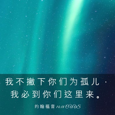 Picture 03 - 约 翰 福 音 14:18 CUVS - 我 不 撇 下 你 们 为 孤 儿 ， 我 必 - Bible Verse Picture
