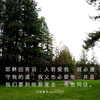Picture 03 - 约 翰 福 音 14:23 CUVS - 耶 稣 回 答 说 ： 人 若 爱 我 ， 就 - Bible Verse Picture