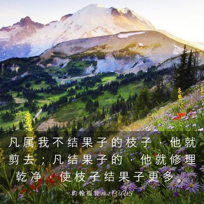 Picture 03 - 约 翰 福 音 15:2 CUVS - 凡 属 我 不 结 果 子 的 枝 子 ， 他 - Bible Verse Picture