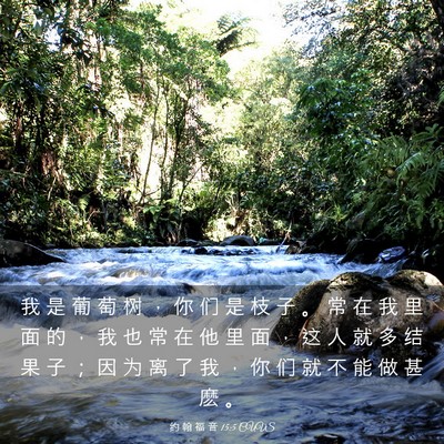 Picture 03 - 约 翰 福 音 15:5 CUVS - 我 是 葡 萄 树 ， 你 们 是 枝 子 。 - Bible Verse Picture