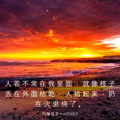 Picture 03 - 约 翰 福 音 15:6 CUVS - 人 若 不 常 在 我 里 面 ， 就 像 枝 - Bible Verse Picture