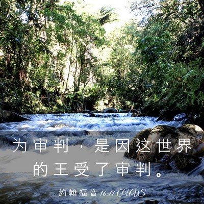 Picture 03 - 约 翰 福 音 16:11 CUVS - 为 审 判 ， 是 因 这 世 界 的 王 受 - Bible Verse Picture