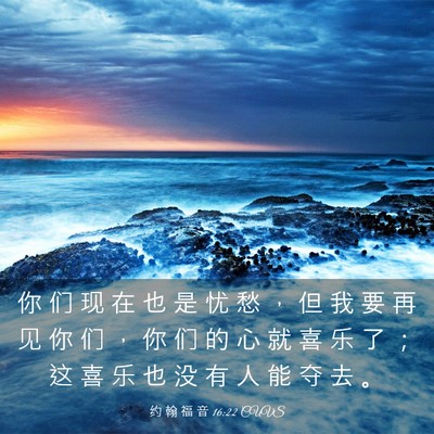 Picture 03 - 约 翰 福 音 16:22 CUVS - 你 们 现 在 也 是 忧 愁 ， 但 我 要 - Bible Verse Picture