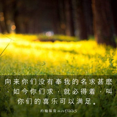 Picture 03 - 约 翰 福 音 16:24 CUVS - 向 来 你 们 没 有 奉 我 的 名 求 甚 - Bible Verse Picture
