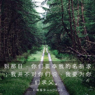 Picture 03 - 约 翰 福 音 16:26 CUVS - 到 那 日 ， 你 们 要 奉 我 的 名 祈 - Bible Verse Picture