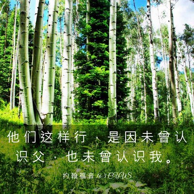 Picture 03 - 约 翰 福 音 16:3 CUVS - 他 们 这 样 行 ， 是 因 未 曾 认 识 - Bible Verse Picture