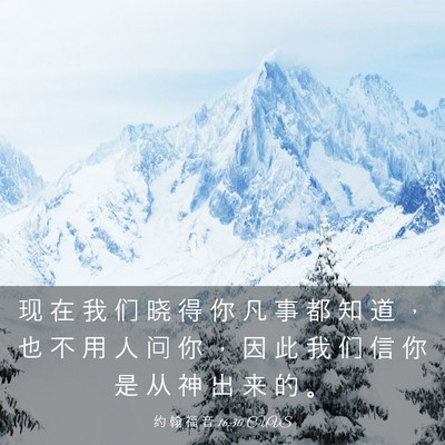 Picture 03 - 约 翰 福 音 16:30 CUVS - 现 在 我 们 晓 得 你 凡 事 都 知 道 - Bible Verse Picture
