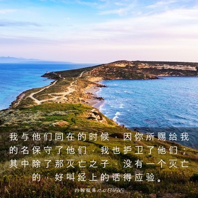 Picture 03 - 约 翰 福 音 17:12 CUVS - 我 与 他 们 同 在 的 时 候 ， 因 你 - Bible Verse Picture