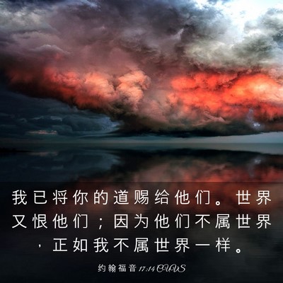 Picture 03 - 约 翰 福 音 17:14 CUVS - 我 已 将 你 的 道 赐 给 他 们 。 世 - Bible Verse Picture