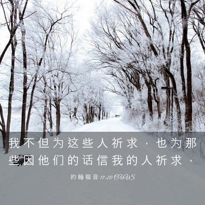 Picture 03 - 约 翰 福 音 17:20 CUVS - 我 不 但 为 这 些 人 祈 求 ， 也 为 - Bible Verse Picture