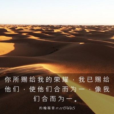 Picture 03 - 约 翰 福 音 17:22 CUVS - 你 所 赐 给 我 的 荣 耀 ， 我 已 赐 - Bible Verse Picture