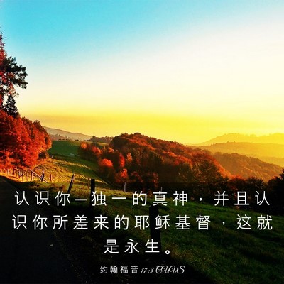 Picture 03 - 约 翰 福 音 17:3 CUVS - 认 识 你 ─ 独 一 的 真 神 ， 并 且 - Bible Verse Picture