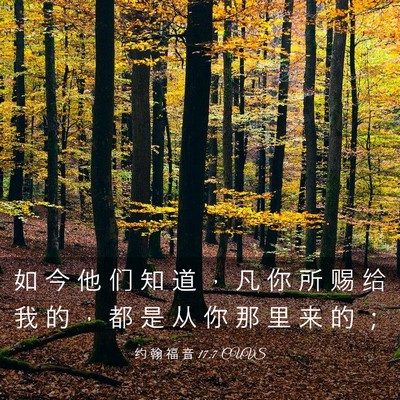 Picture 03 - 约 翰 福 音 17:7 CUVS - 如 今 他 们 知 道 ， 凡 你 所 赐 给 - Bible Verse Picture