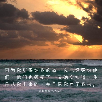 Picture 03 - 约 翰 福 音 17:8 CUVS - 因 为 你 所 赐 给 我 的 道 ， 我 已 - Bible Verse Picture