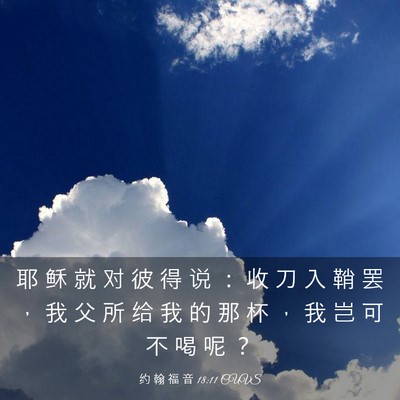 Picture 03 - 约 翰 福 音 18:11 CUVS - 耶 稣 就 对 彼 得 说 ： 收 刀 入 鞘 - Bible Verse Picture