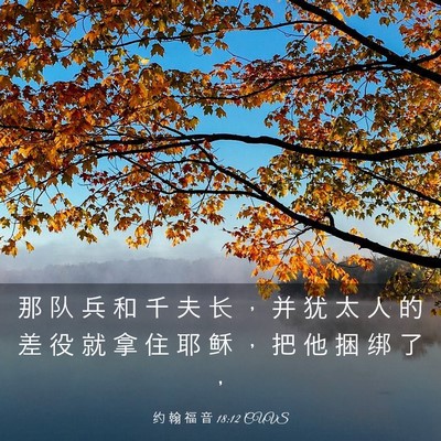 Picture 03 - 约 翰 福 音 18:12 CUVS - 那 队 兵 和 千 夫 长 ， 并 犹 太 人 - Bible Verse Picture