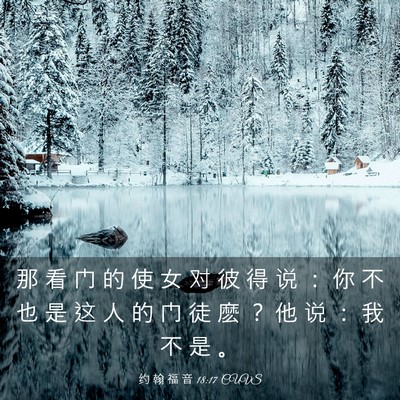Picture 03 - 约 翰 福 音 18:17 CUVS - 那 看 门 的 使 女 对 彼 得 说 ： 你 - Bible Verse Picture