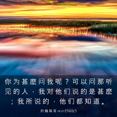 Picture 03 - 约 翰 福 音 18:21 CUVS - 你 为 甚 麽 问 我 呢 ？ 可 以 问 那 - Bible Verse Picture