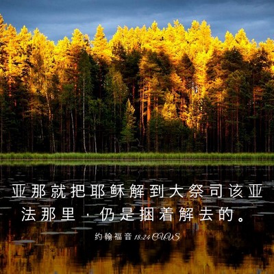 Picture 03 - 约 翰 福 音 18:24 CUVS - 亚 那 就 把 耶 稣 解 到 大 祭 司 该 - Bible Verse Picture