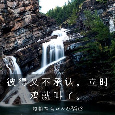 Picture 03 - 约 翰 福 音 18:27 CUVS - 彼 得 又 不 承 认 。 立 时 鸡 就 叫 - Bible Verse Picture