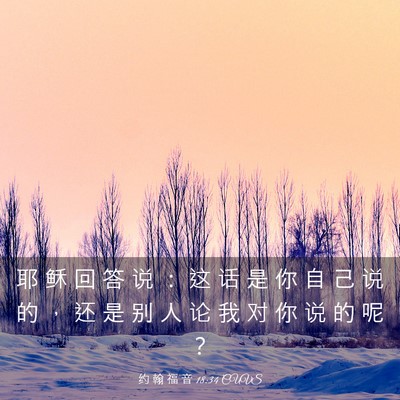Picture 03 - 约 翰 福 音 18:34 CUVS - 耶 稣 回 答 说 ： 这 话 是 你 自 己 - Bible Verse Picture