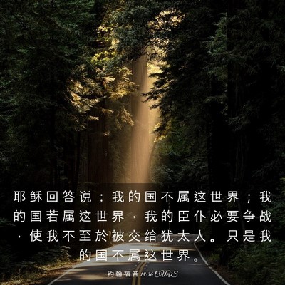 Picture 03 - 约 翰 福 音 18:36 CUVS - 耶 稣 回 答 说 ： 我 的 国 不 属 这 - Bible Verse Picture