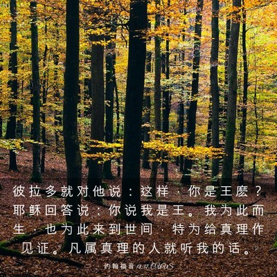 Picture 03 - 约 翰 福 音 18:37 CUVS - 彼 拉 多 就 对 他 说 ： 这 样 ， 你 - Bible Verse Picture