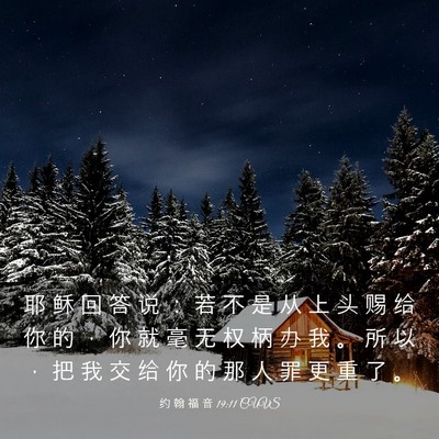 Picture 03 - 约 翰 福 音 19:11 CUVS - 耶 稣 回 答 说 ： 若 不 是 从 上 头 - Bible Verse Picture