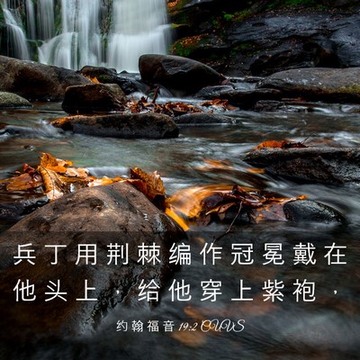 Picture 03 - 约 翰 福 音 19:2 CUVS - 兵 丁 用 荆 棘 编 作 冠 冕 戴 在 他 - Bible Verse Picture