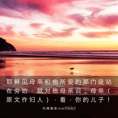Picture 03 - 约 翰 福 音 19:26 CUVS - 耶 稣 见 母 亲 和 他 所 爱 的 那 门 - Bible Verse Picture