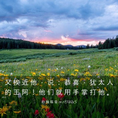 Picture 03 - 约 翰 福 音 19:3 CUVS - 又 挨 近 他 ， 说 ： 恭 喜 ， 犹 太 - Bible Verse Picture