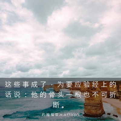 Picture 03 - 约 翰 福 音 19:36 CUVS - 这 些 事 成 了 ， 为 要 应 验 经 上 - Bible Verse Picture