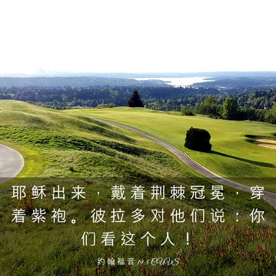 Picture 03 - 约 翰 福 音 19:5 CUVS - 耶 稣 出 来 ， 戴 着 荆 棘 冠 冕 ， - Bible Verse Picture
