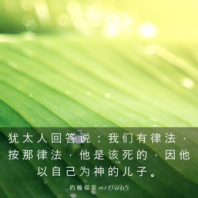 Picture 03 - 约 翰 福 音 19:7 CUVS - 犹 太 人 回 答 说 ： 我 们 有 律 法 - Bible Verse Picture