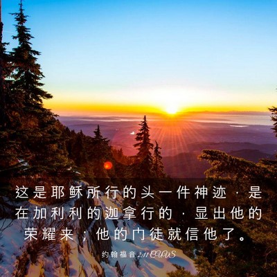 Picture 03 - 约 翰 福 音 2:11 CUVS - 这 是 耶 稣 所 行 的 头 一 件 神 迹 - Bible Verse Picture