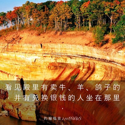 Picture 03 - 约 翰 福 音 2:14 CUVS - 看 见 殿 里 有 卖 牛 、 羊 、 鸽 子 - Bible Verse Picture