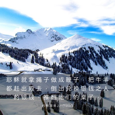 Picture 03 - 约 翰 福 音 2:15 CUVS - 耶 稣 就 拿 绳 子 做 成 鞭 子 ， 把 - Bible Verse Picture