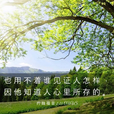 Picture 03 - 约 翰 福 音 2:25 CUVS - 也 用 不 着 谁 见 证 人 怎 样 ， 因 - Bible Verse Picture