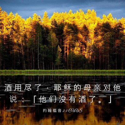 Picture 03 - 约 翰 福 音 2:3 CUVS - 酒 用 尽 了 ， 耶 稣 的 母 亲 对 他 - Bible Verse Picture